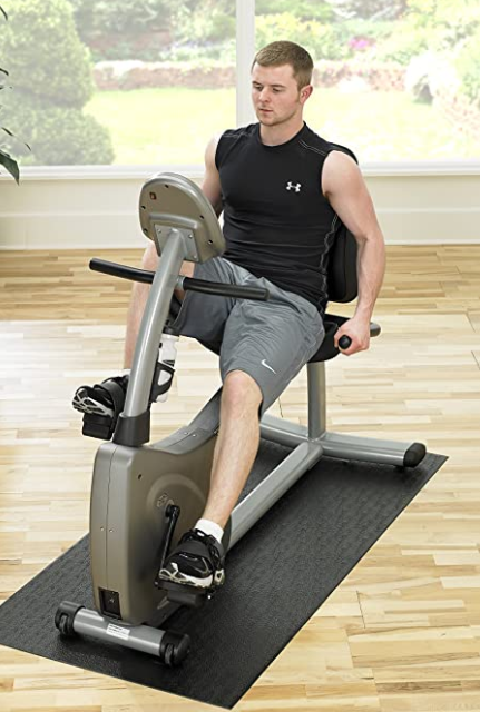 Indoor Cycles Recumbent Bikes Upright Exercise Bikes and Steppers