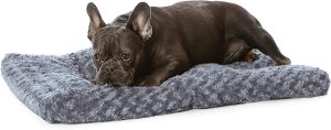 Top 10 Crate Mats to Keep Your Dog Comfortable and Happy