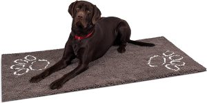 A Guide to the Ultimate Dog-Friendly Doormats