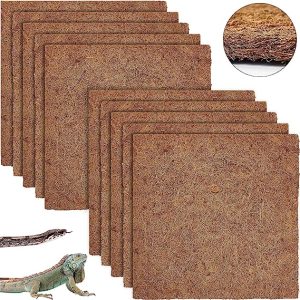 Buying Guide for the Top Best coconut fibre matting